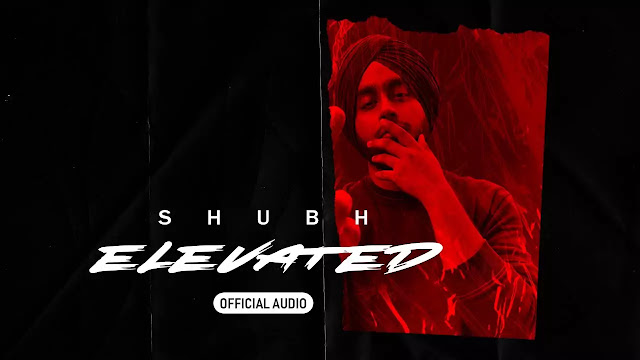 Elevated (Lyrics) - Shubh