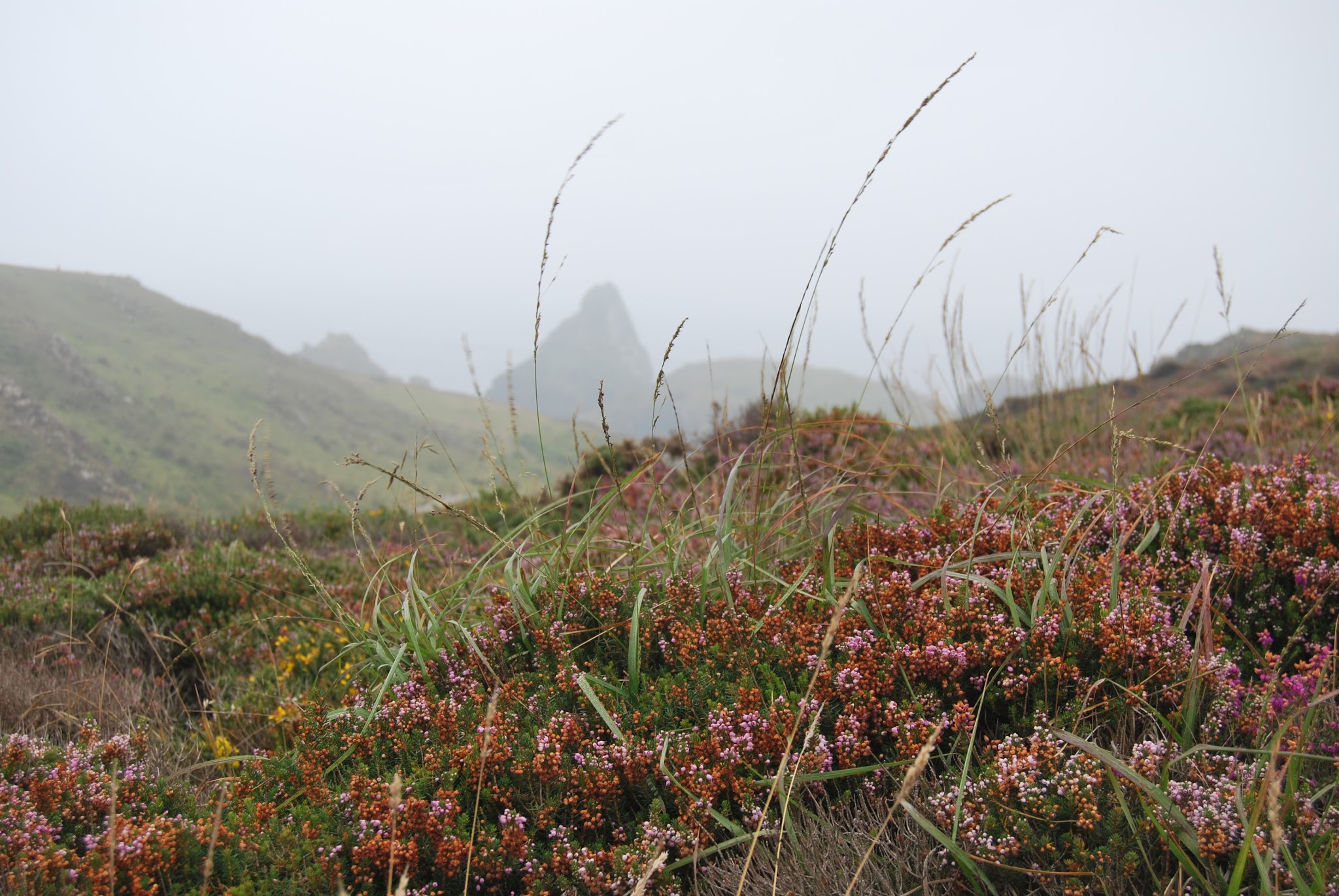 Cornish Tales - Beautiful Kynance Cove, photos by modern bric a brac