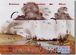 fakta unik tentang air hujan