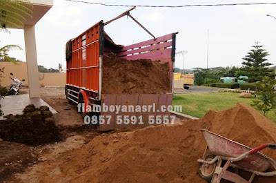 harga tanah merah buat taman