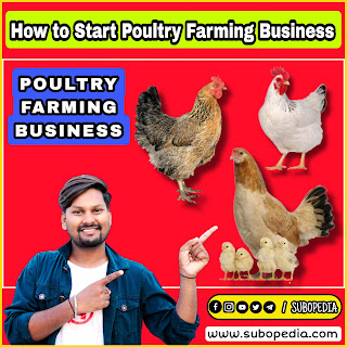 Poultry Farming Business Plan 2023