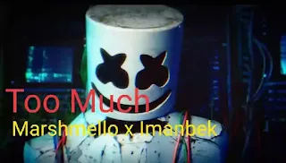 Marshmello x Imanbek - Too Much Lyrics