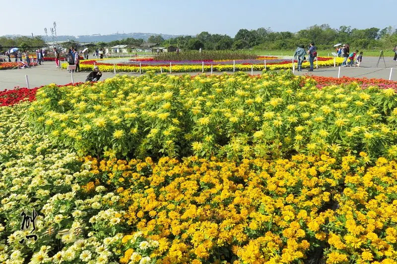 [台中新社花海] 藝想萬花筒｜台中國際花毯節