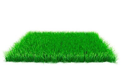 Artificial Grass in West Midlands