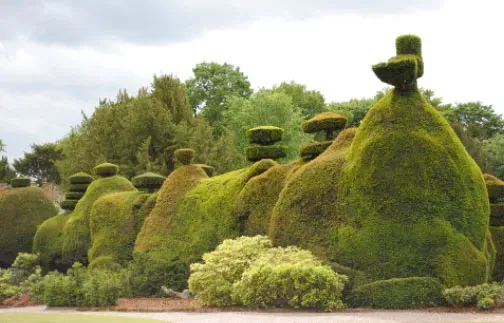 Topiary