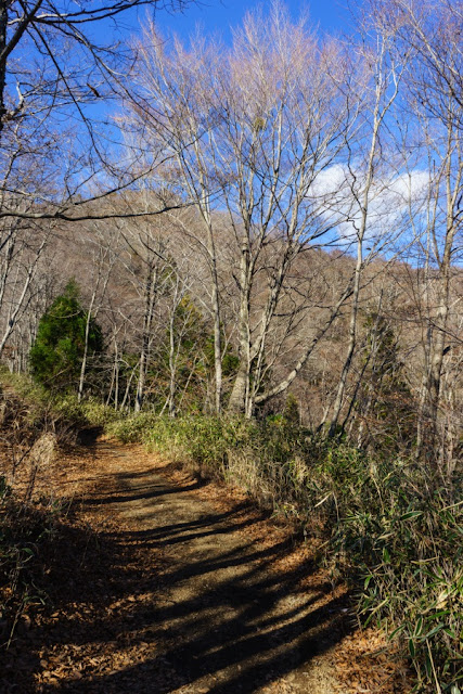 山梨百名山・石割山の登山道