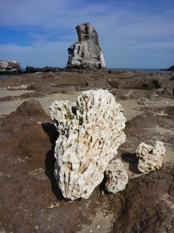 P1020287