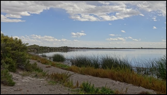 DSC03201
