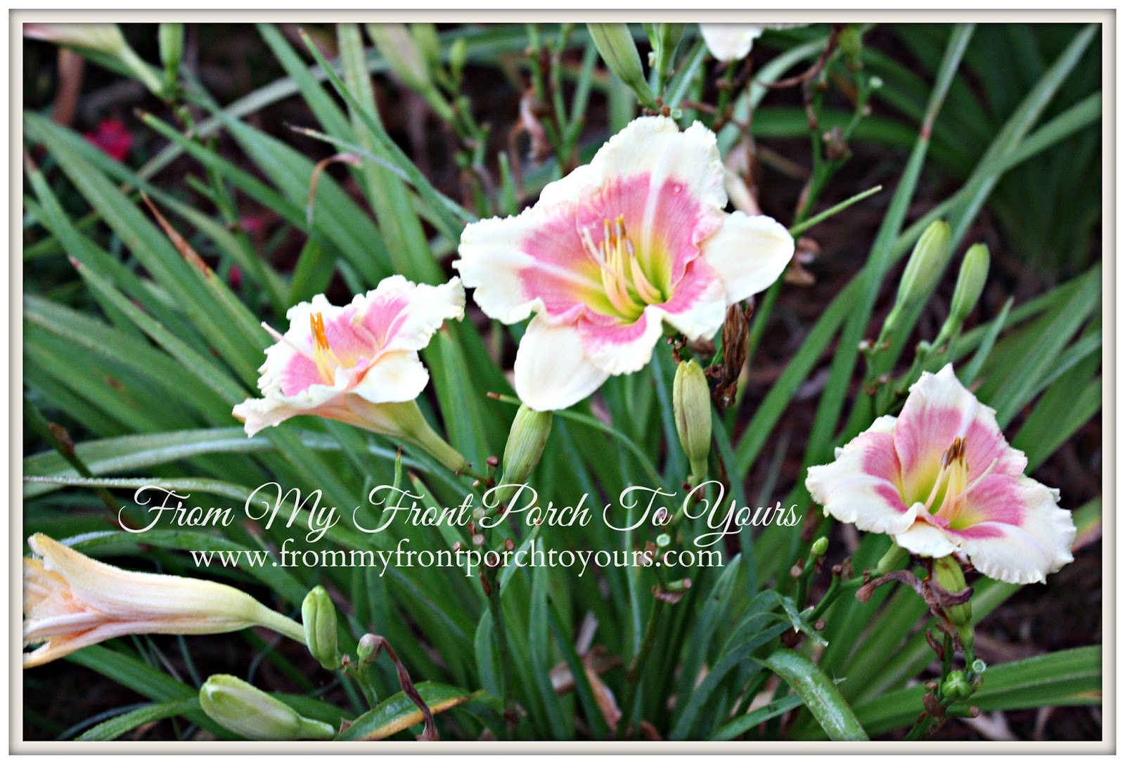 From My Front Porch To Yours- Flower Garden LIllies