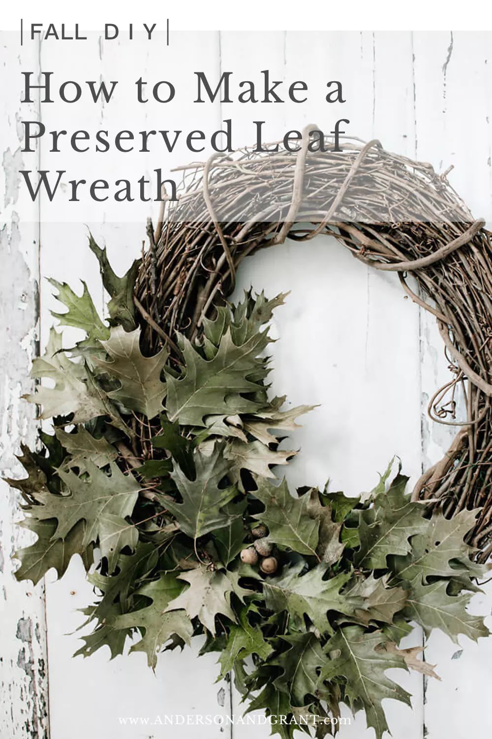 Grapevine Wreath Form - Terrain
