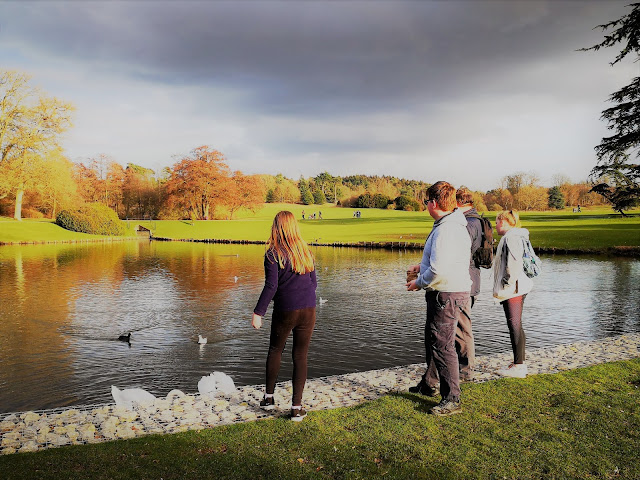 teens feeding ducks