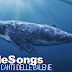 Whale Songs | ascolta i canti delle balene