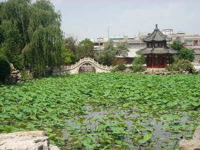 Old Lotus Pool