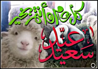 أفضل الصور والخلفيات عيد الأضحى المبارك