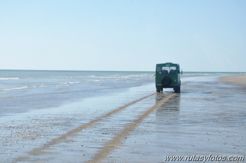 Parque Nacional de Doñana