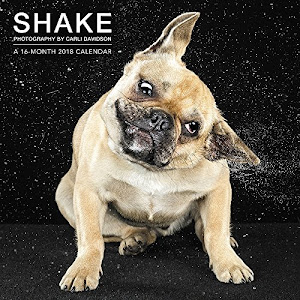 2018 Shake Dogs Wall Calendar (Mead)