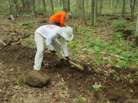 digging a trench