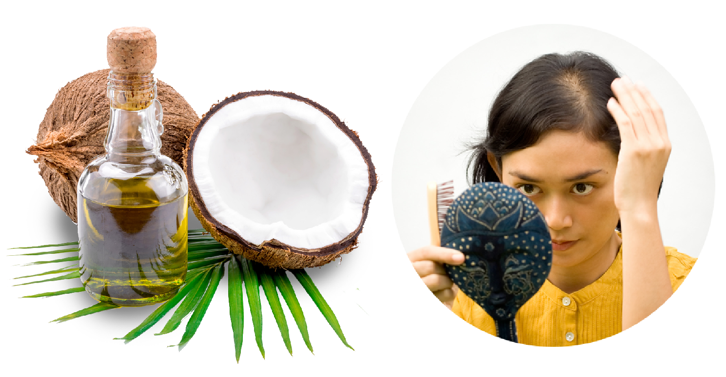Arnica Q & Jaborandi Q with Coconut oil For Hair Loss & Premature Graying -  Saralpathy EN