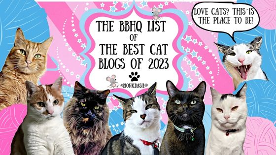 The Best Cat Blogs of 2023 with The B Team ©BionicBasil®