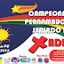 Campeonato Pernambucano Seriado 2013