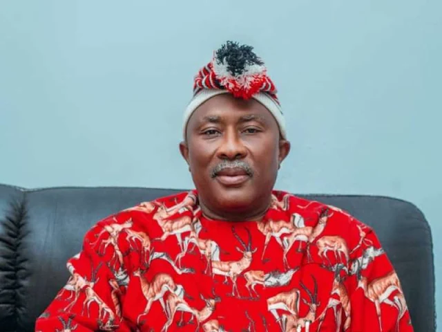 Uche Onyeagucha: Imo is on the verge of anarchy