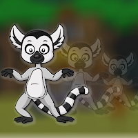 Ring Tailed Lemur Escape