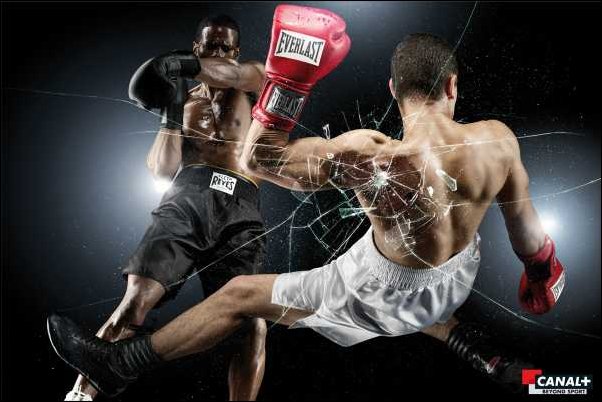 Boxers