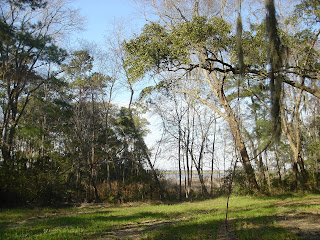 Santee Reserve scenery