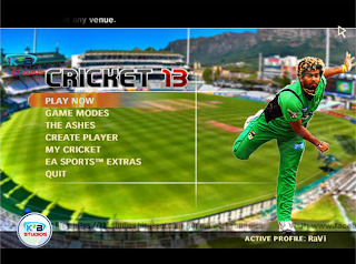 Download EA Sports Cricket 2013 For PC Game Free Full Version