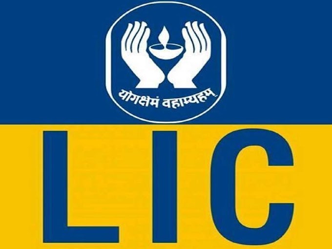 LIC का शेयर आज पांच प्रतिशत उछला , प्रधानमंत्री मोदी ने कल दो शब्द बोले  और एक्सपर्ट क्या सोचते हैं ?