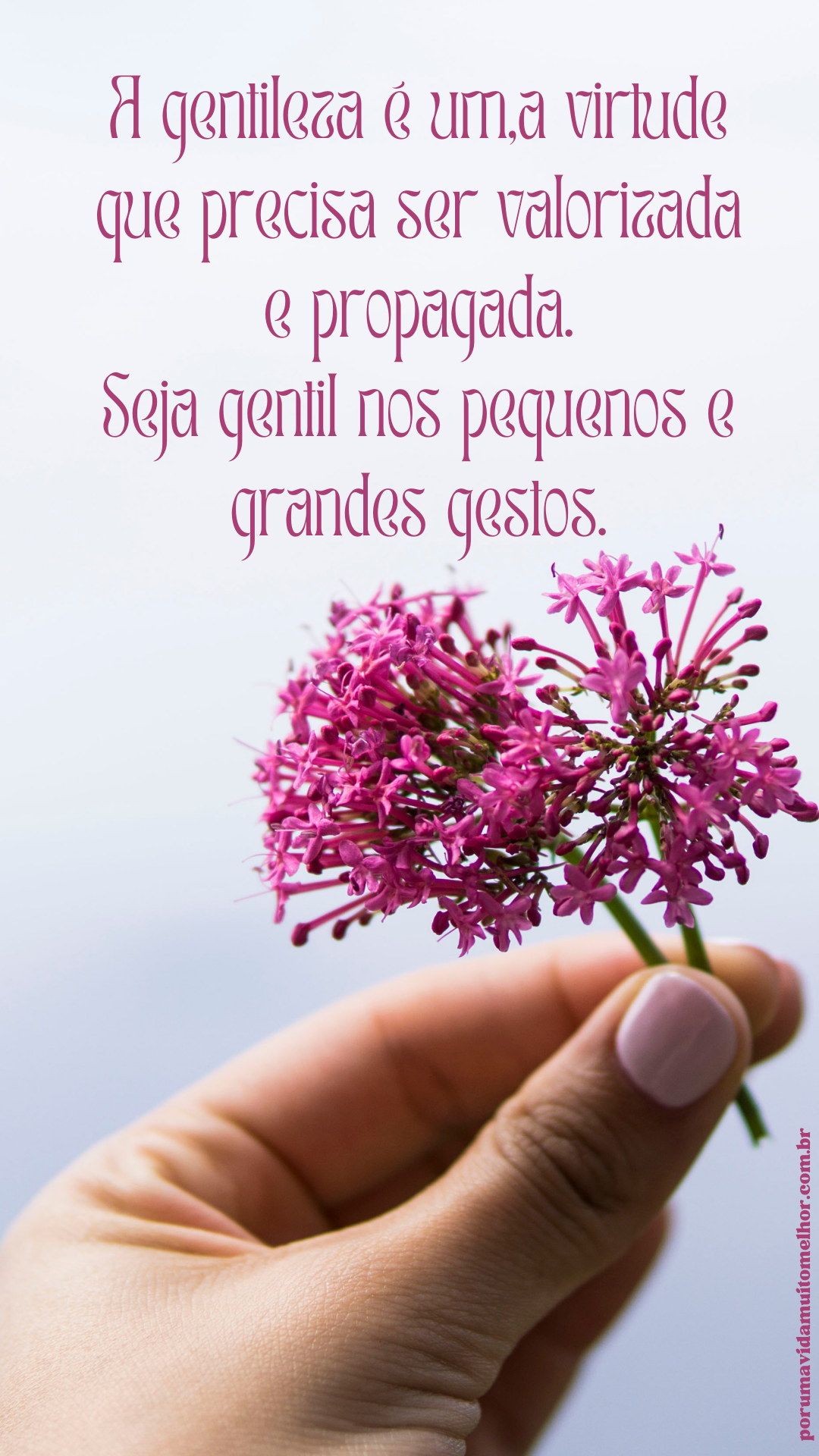 Frases Motivacionais do Blog "Porumavidamuitomelhor"