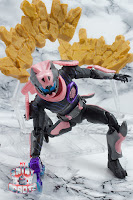 S.H. Figuarts Kamen Rider Vice Rex Genome 37