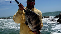 Galveston Deep Sea Fishing Charters Galveston Tx