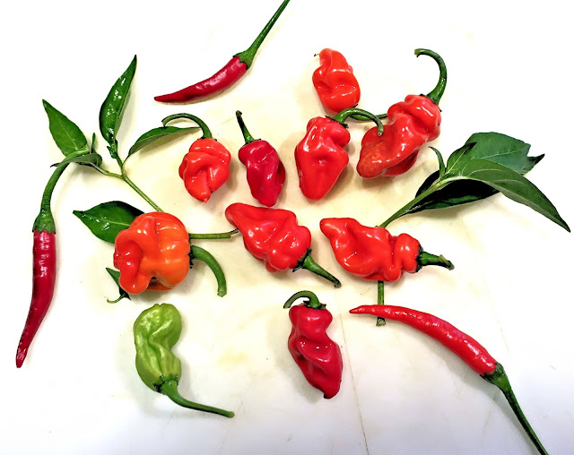 piments