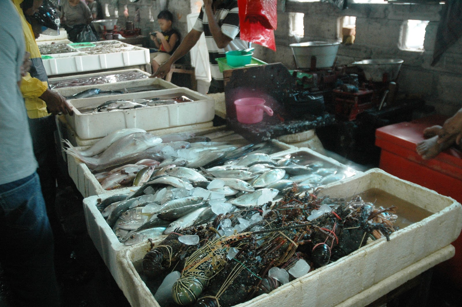 Pasar Ikan Kedonganan Asyiknya Berburu Sea Food Catatan 