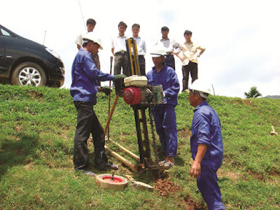 Định mức dự toán điều tra, khảo sát và xử lý mối 