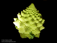 romanescu