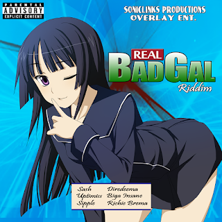 Real badgal Riddim by soniclinks