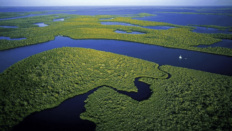 Everglades National Park miami