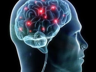 Artikel, Fungsi Otak Manusia, Beberapa Fungsi Penting Otak Manusia