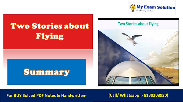 Two Stories about Flying Chapter Summary