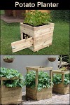All Things Gardening