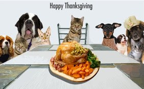 Thanksgiving day e-cards pictures free download