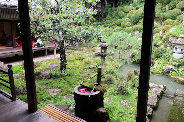 柳谷観音 楊谷寺 あじさい寺 花手水