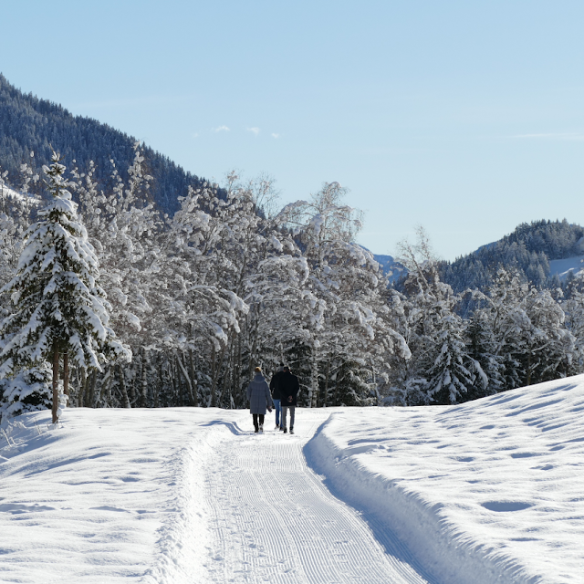 escursioni invernali ciaspole vipiteno