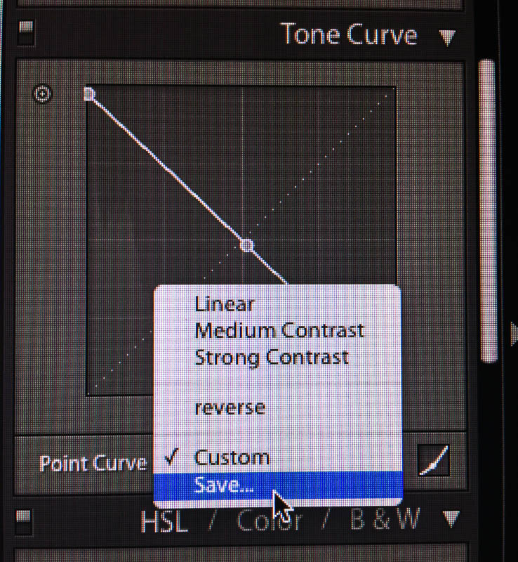 Suzanne Mathia Photography: INVERT tone curve in Lightroom
