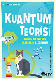  Kuantum Teorisi - Çizgi Bilim Serisi | J.P. Mcevoy | PDF İndir