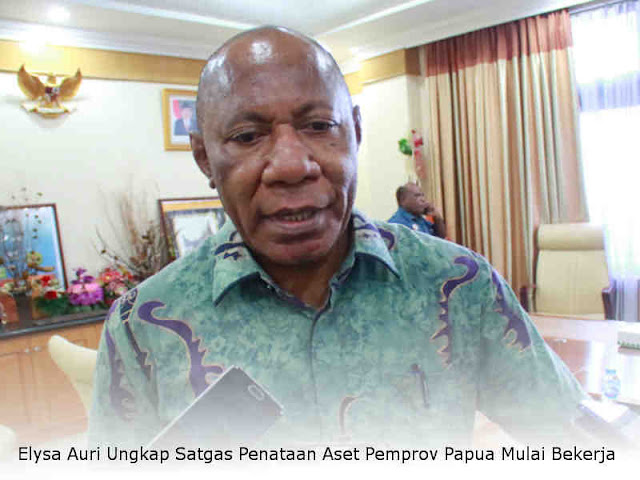 Elysa Auri Ungkap Satgas Penataan Aset Pemprov Papua Mulai Bekerja