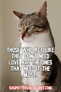 Those who act like they don't need love are the ones that need it the most.