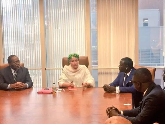 Akon meets Minister of Environment, Amina Mohammed, to discuss ‘Great Green wall project’, a pan-African proposal